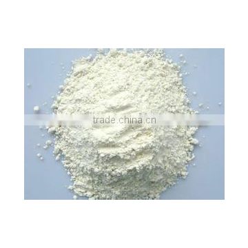 White onion powder