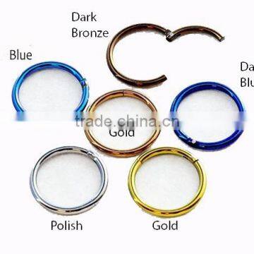 Titanium Hinged Segment Rings Septum Clicker