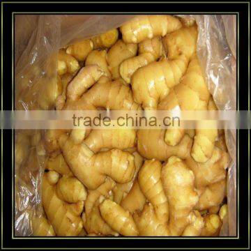 2012 fresh ginger exporter
