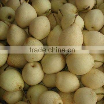 18kg ya Pear