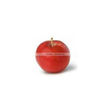 jonagold apple