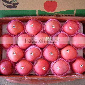 Best Quality Blush Big Sizes Apple Fuji From CA Room