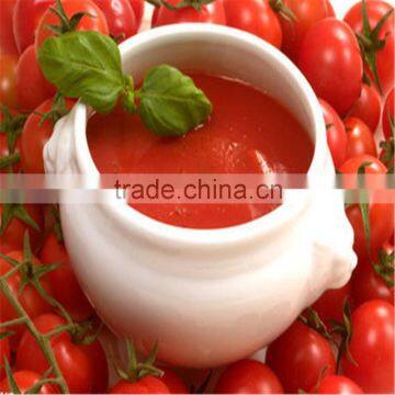 Delicious tomato paste