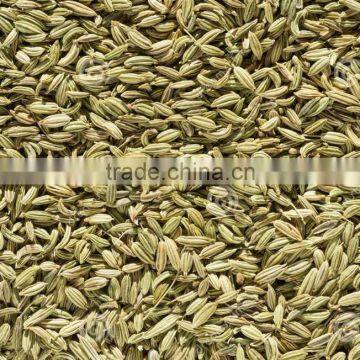 Dried Fennel Seed