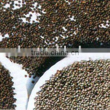 Perilla Seed