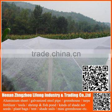best products pe greenhouse anti insect proof net , plastic vegetable anti insect net , nylon agricultural anti insect net