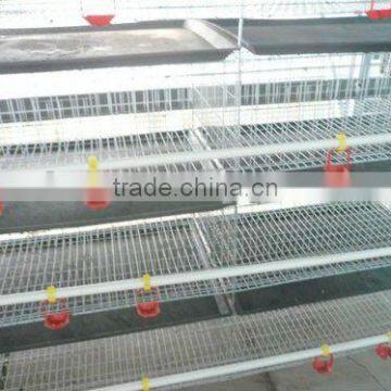 chicken poultry farm cage