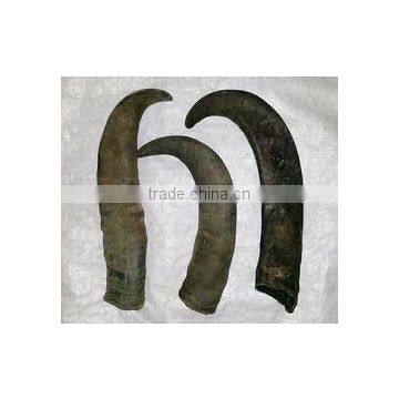 Buffalo Horn Tips photo-2
