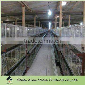 galvanized broiler cage with automatic system