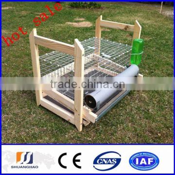 2014 new!!! cheap quail cage/Quail Farming (manufactory)