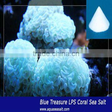 Artificial Reef Sea Salt Salt Water Coral Aquarium Fish