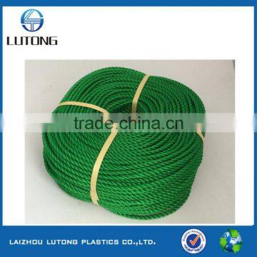 hot sales green PE rope, twisted rope 5.5mm 350yards coil