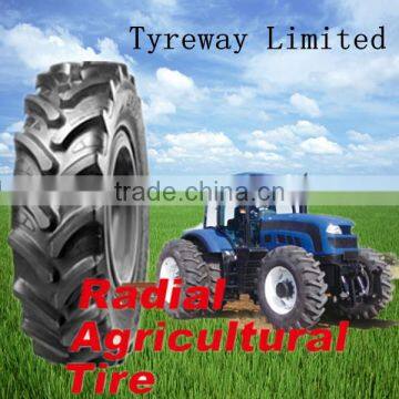 Raidal agricultural tire linglong leao tire 11.2R24, 12.4R24, 14.9R24,16.9R24,11.2R28,