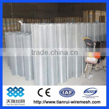 Welded Wire Mesh