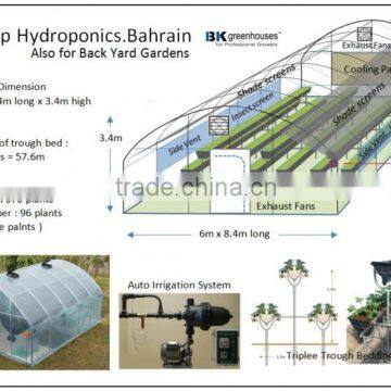 Tunnel Greenhouse photo-4
