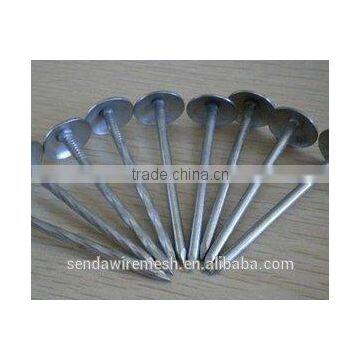 3" Umbrella Roofing Nails/construction Roofing Nails and Building Material Nails photo-2