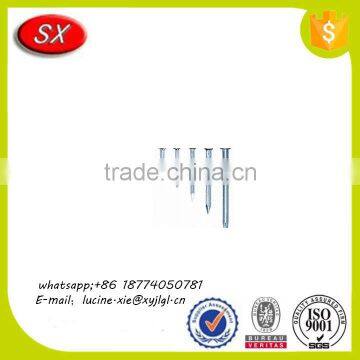 Customized Galvanized Hardened Steel/iron Concrete Nail With High Quality photo-4