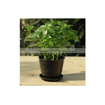 15040110 Supply High Quality Colorful Melamine Flowerpot photo-5