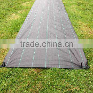 Breathable Woven Polypropylene Fabric in Roll photo-5