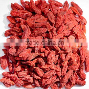 Organic Wolfberry (Gouji Berry) in Bulk or Triangle Teabags photo-2