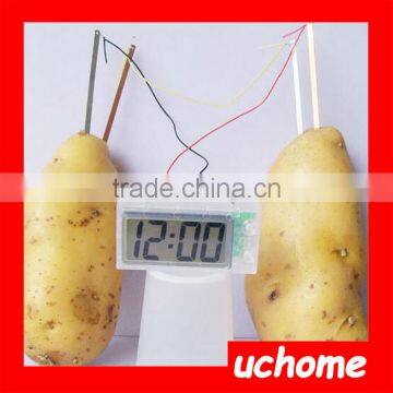 UCHOME Green Science DIY Potato Battery Clock Set photo-4