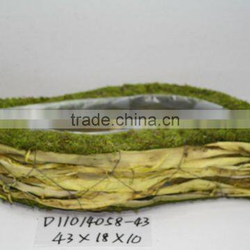 Wavy green moss and sisal pot decoration for garden plant