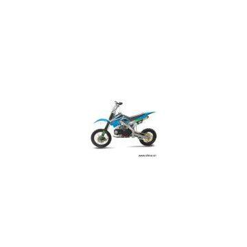 EEC EPA 110cc With 3-Valves Dirt Bike