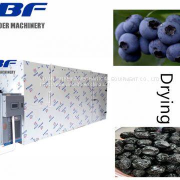 Energy-Saving Air Source Heat Pump Dryer for blueberries friut vegetables Similar Nature Drying System