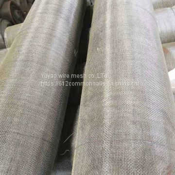 Turkey market Electro Galvanized 10*10 square wire mesh