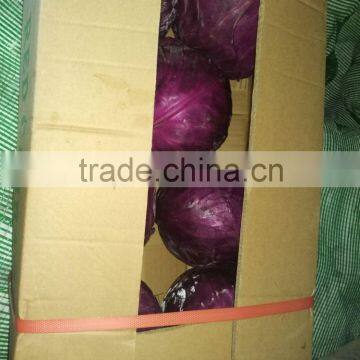 Purple cabbage packaging bag