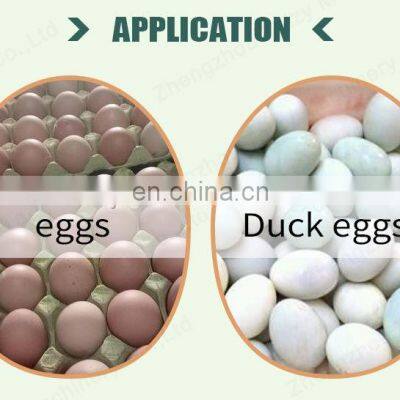 Industrial Egg Sorting Machine Candling Grader photo-5