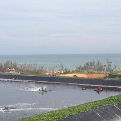 0.5mm HDPE Geomembrane for Fish Pond Waterproof Membrane Dam Pond Liner Landfill Project Geomembranes photo-3