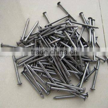 Common Wire Nail for Dubai Market photo-4