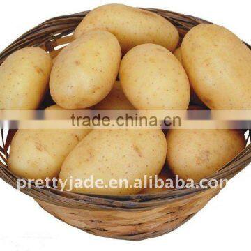 Chinese fresh yellow potato