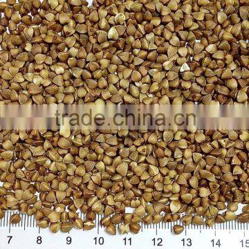 roasted buckwheat browen colour best quality