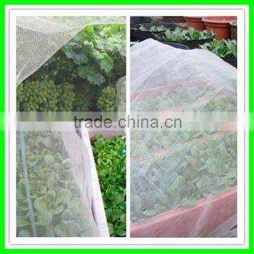 Insect Netting Garden Veggiemesh Organic Net Crop Veg Protection Various Sizes photo-4
