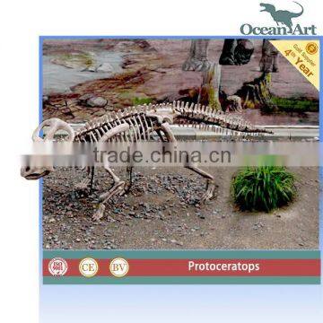 Dinosaur skeleton model for jurassic park trade assurance