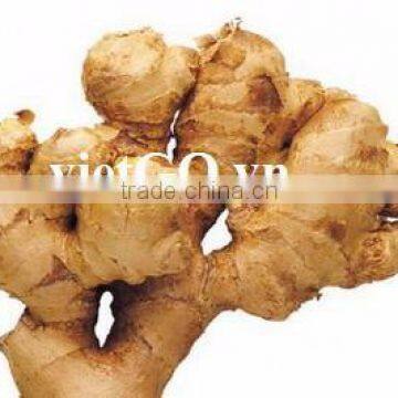 air dry ginger/half air dry ginger from Vietnam