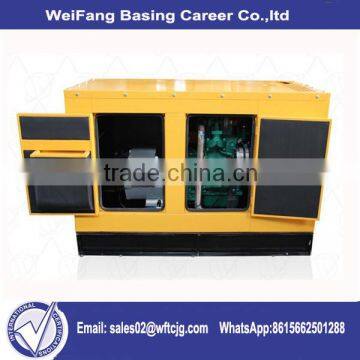 Competitive price Electric power diesel generator set Rated Power 250kva/200kw diesel generator from china manufacturer