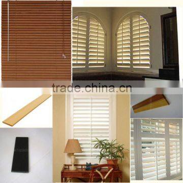 China Custom Window PVC Blind Panel Extrusion Mould