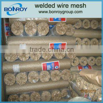 1x2 galvanized welded wire mesh