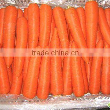 Natural Chinese fresh carrots for sale