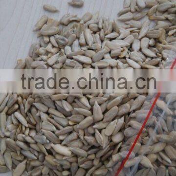 Sunflower Seeds Kernels in Inner Mongolia photo-2