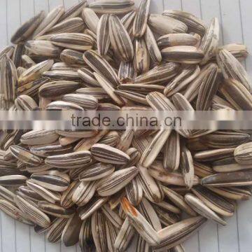 Supply different type of Chinese Sunflower seeds with good Quality