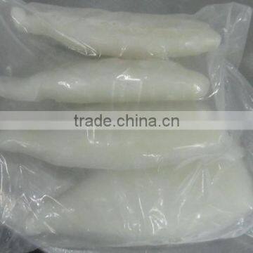 Illex Squid Tube photo-2