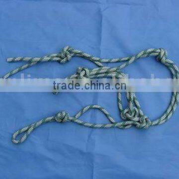 horse headgear rope