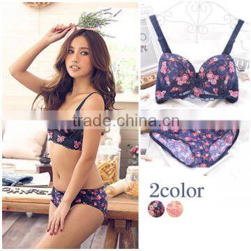 Wholesale Comfortable Breathable Sexy Bra Set, New Design Breathable Sexy Bra, Floral Ladies Bra and Panty Design