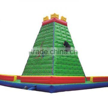 Fun Inflatable Climb