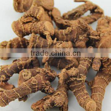 Guangdong Dried Galangal Roots