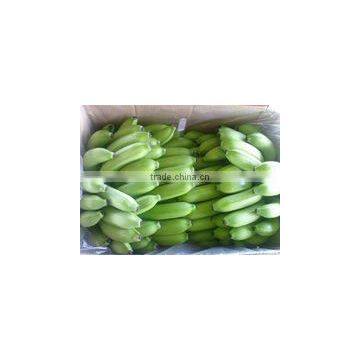 The Best Seller of Vietnamese Cavendish Banana photo-3